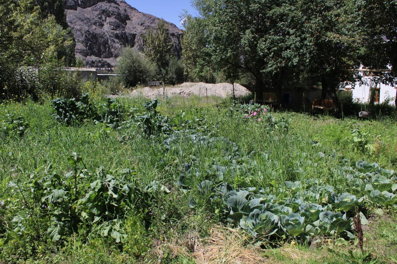 Sernang Homestay Hundar Εξωτερικό φωτογραφία