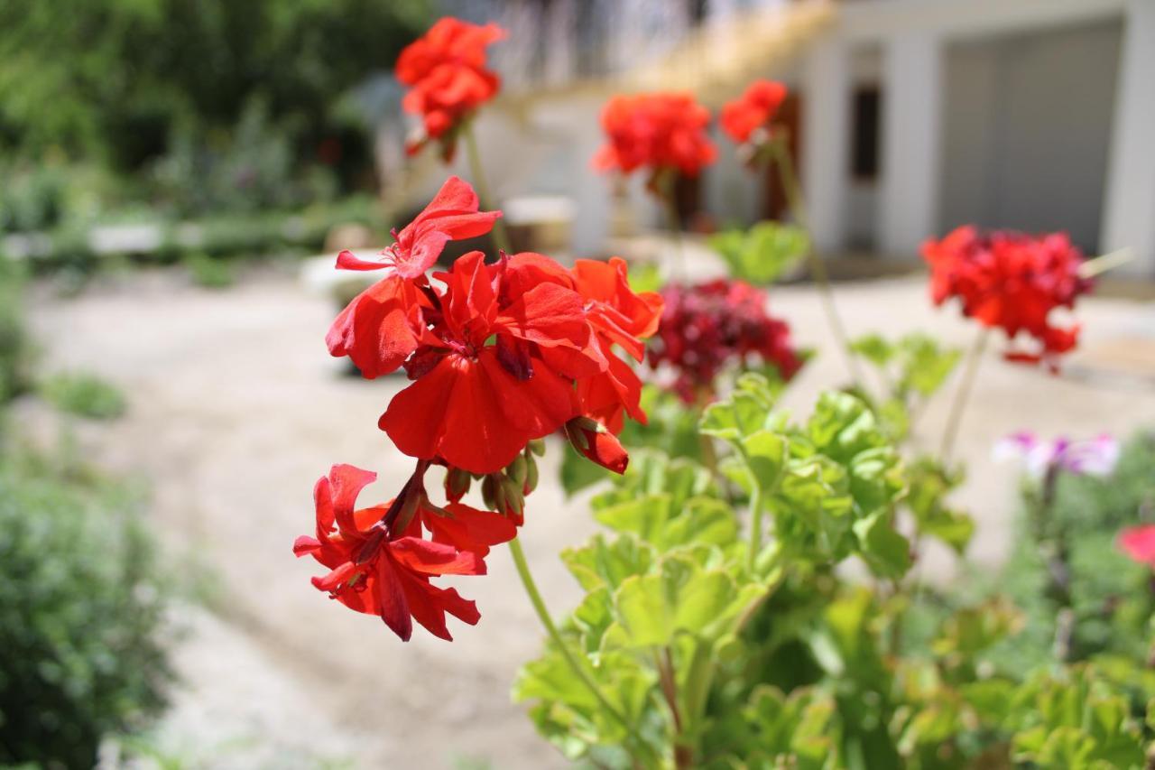 Sernang Homestay Hundar Εξωτερικό φωτογραφία