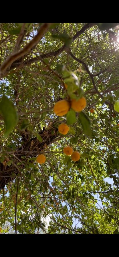 Sernang Homestay Hundar Εξωτερικό φωτογραφία