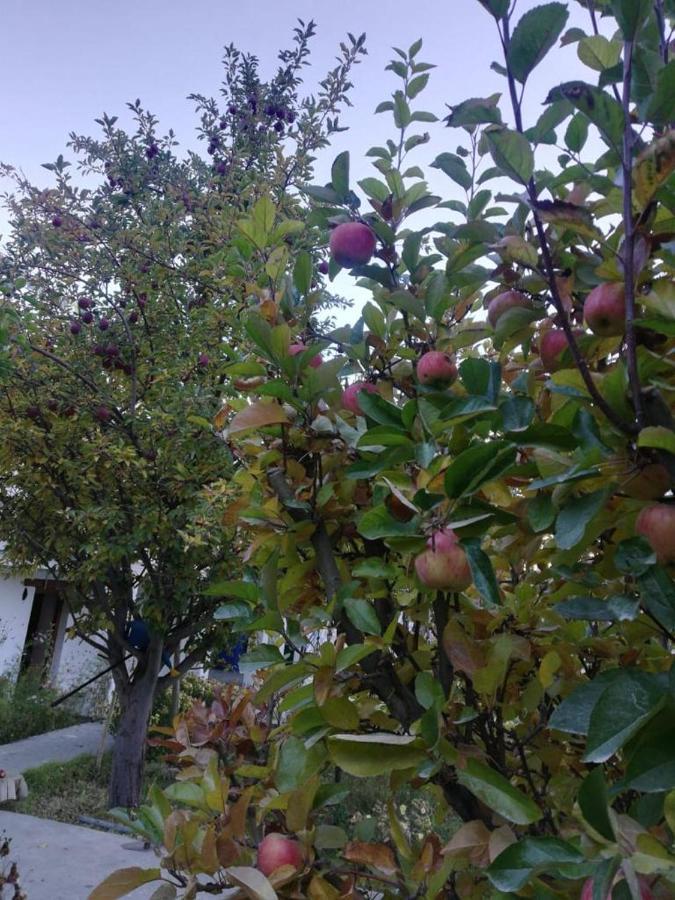 Sernang Homestay Hundar Εξωτερικό φωτογραφία